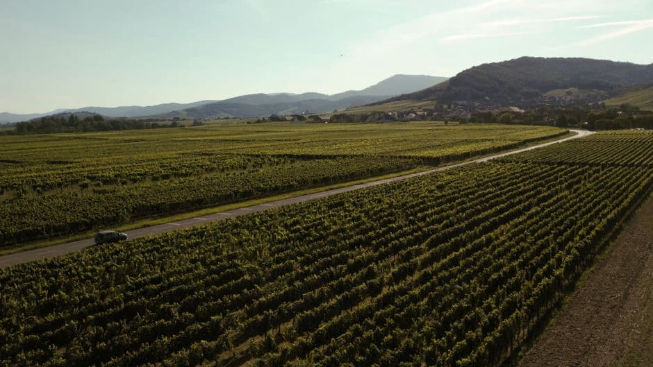Ultimate Alsace Wine Route Guide: Villages & Itinerary